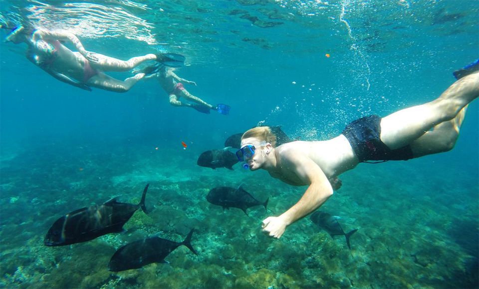 4 Spot Snorkeling and Nusa Penida Tour Land - Activity Duration