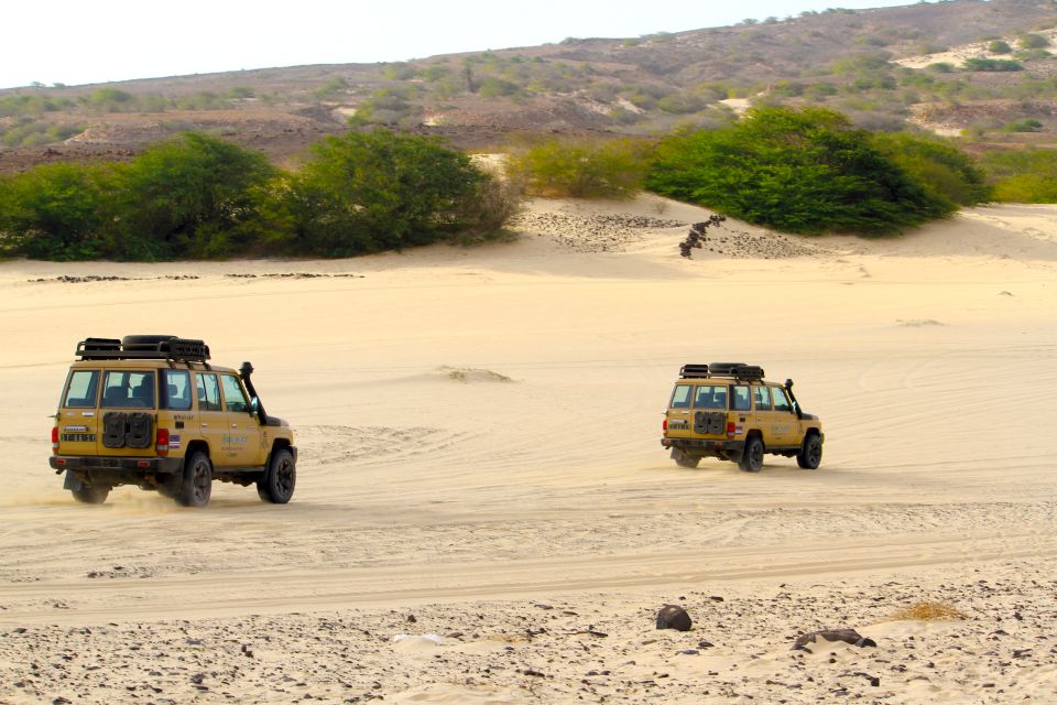 4x4 Boa Vista South Jeep Expedition 4h - Customer Feedback and Recommendations