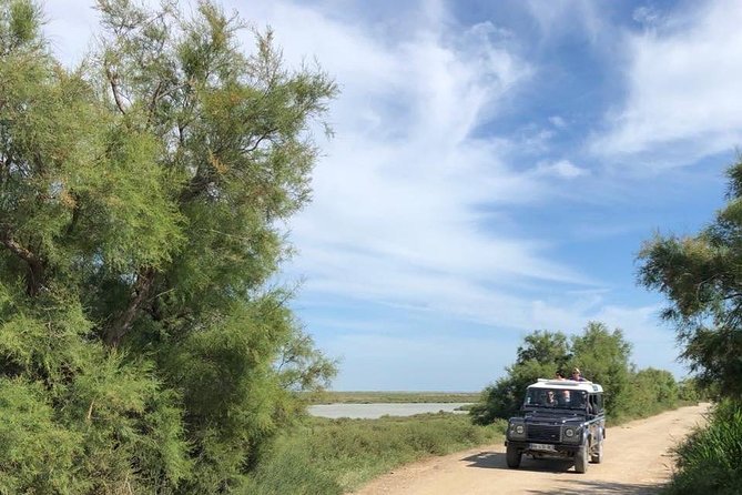 4x4 Camargue Safari 4h - Departure From Arles - Tour Experience and Highlights