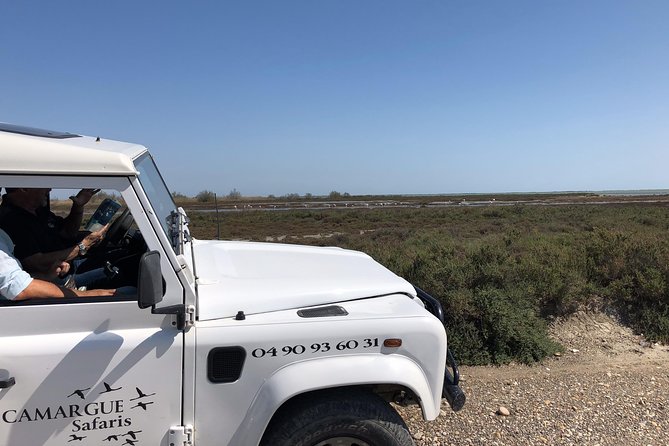4x4 Camargue Safari 4h - Private Tour - Departure From Arles - What To Expect