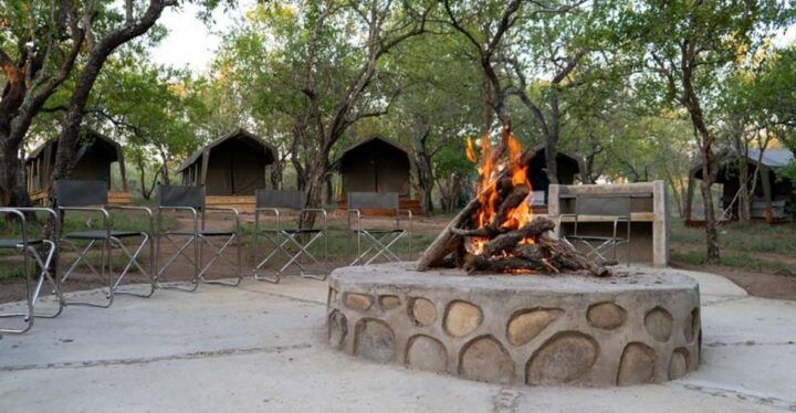 5 Day Kruger Glamping Budget Adventure - Activity Experience