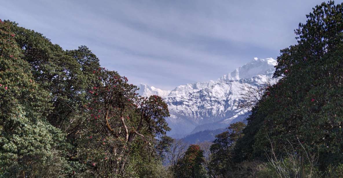 5 Days 4 Nights Annapurna Trek With Poon Hill and Dhampus - Location and Logistics