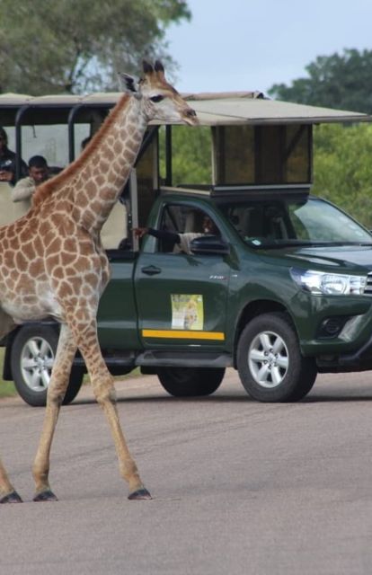 5 Days-Kruger Park and Panorama Route Tour From Johannesburg - Booking Information