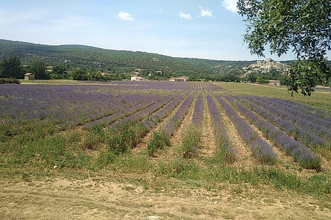 5-Hour Private Sightseeing Tour of the Provence From Marseille in Luxury Car - Customer Reviews and Guide Recommendations