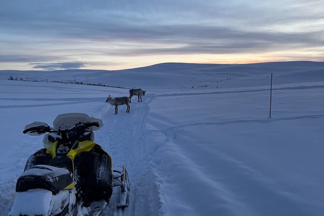 5-Hour Snowmobile Safari on the Arctic Tundra. Have Fun & Explore! - Safari Route Highlights