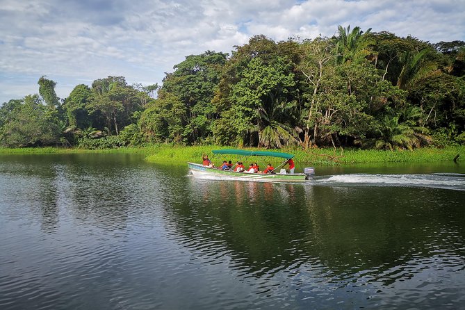 5hr Combo-Panama Canal Boat Safari & Jungle Walk W/ Local Brunch - Pricing and Booking Information