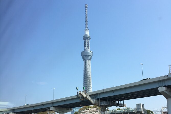 6-Hour-Tour Tokyo Highlights - Reviews and Ratings