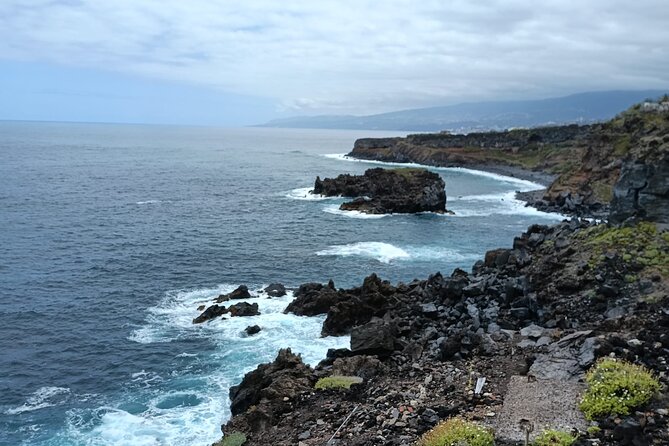 6hrs Private Tour in North Coast of Tenerife - Booking Information