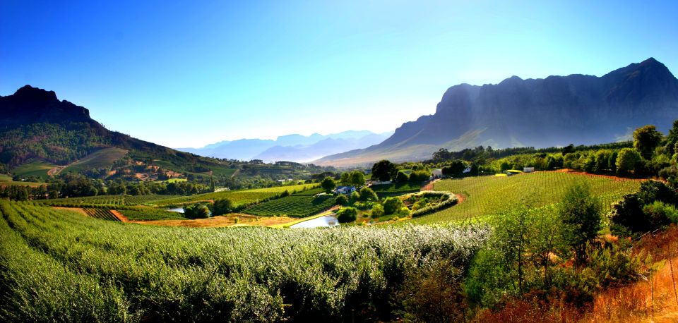 7 Days Cape Town Tour - Table Mountain Panoramic Views