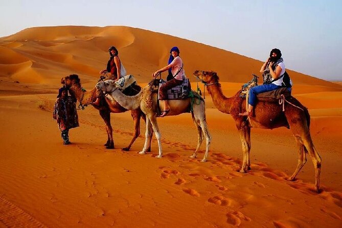 7 Days Luxury Desert Tour From Casablanca to Marrakech via Fez -Camel Trekking - Traveler Reviews