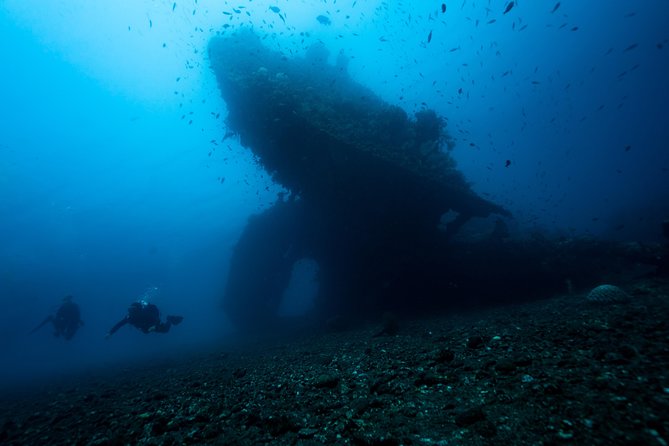 7 Fun Dives in Tulamben (For Certified Divers) - Premium Value Package - Underwater Wildlife Encounters