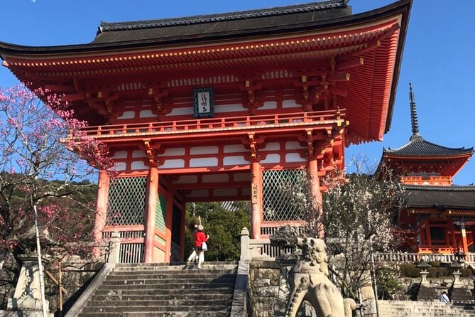 7 Must-See Spots Afternoon Private Tour ; Including 1000-Torii-Gate Shrine - Inclusions and Fees