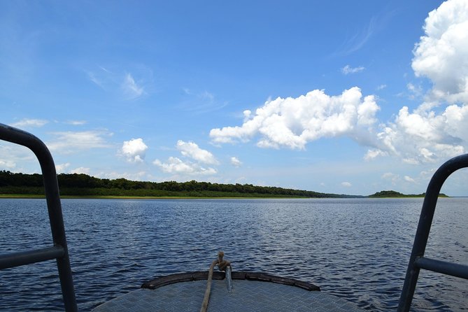 8-Hour Amazonas Jungle Treck & Anavilhanas Archipelago - Satisfied Feedback From Travelers