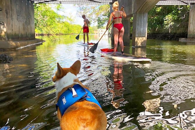 90-Minute SUP Tour of Las Olas Canals With a Doggy Guide  - Fort Lauderdale - Tour Inclusions