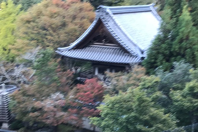 A Chauffeur Driven Tour: Hiroshima & Miyajima or Temple Gardens - Tour Duration and Pickup Information