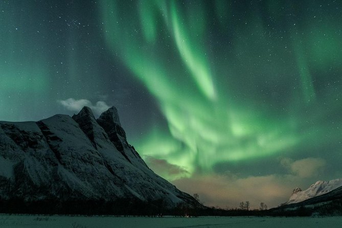 A Journey in Search of the Northern Lights" Photography - Admission and Group Size