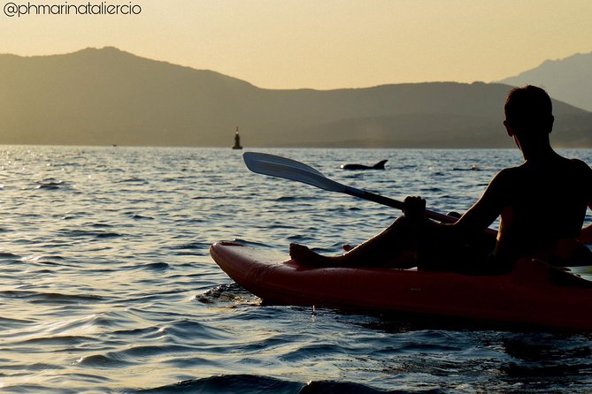 A Small-Group Kayaking Tour With Snorkeling and Aperitivo  - Sardinia - Important Information