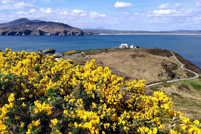 A Walk Through Time in Fort Dunree - Meeting and Pickup Information