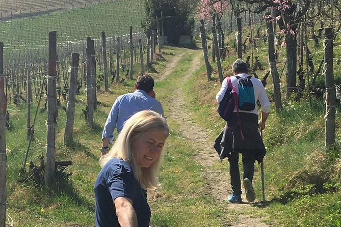 Abellonio Cascina Piccaluga - Visit to the Vineyards, to the Wine Tasting Cellar - Wine Production Insights by Season