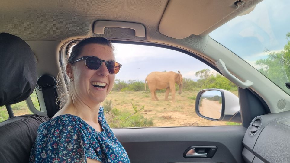 Addo Elephant Park and Giraffe Walk Private Full Day Safari - Experience Highlights
