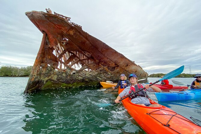 Adelaide Dolphin Sanctuary and Ships Graveyard Kayak Tour - Inclusions and Equipment