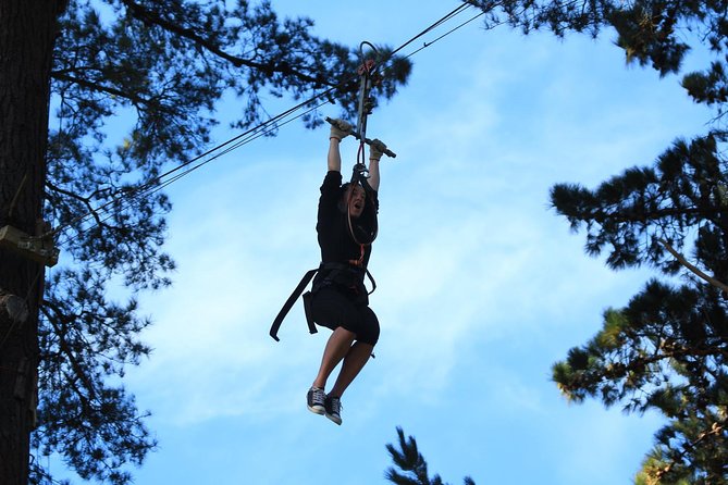 Adrenalin Forest Obstacle Course in the Bay of Plenty - Inclusions and Requirements