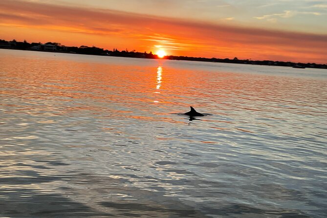 Adventure Boat Tours - Sunset Water Tour in St. Augustine - Inclusions and Policies