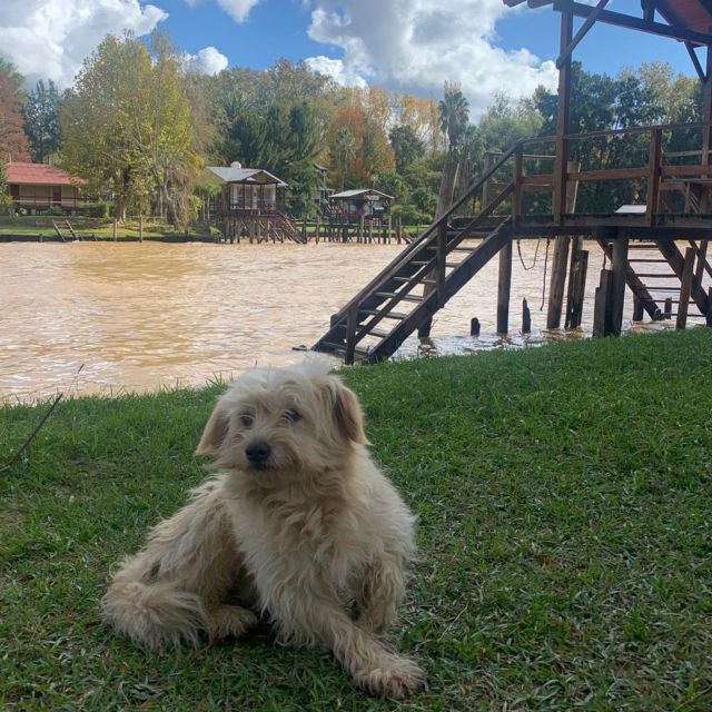 Adventure in the Tigre Delta - Boat Tour Experience