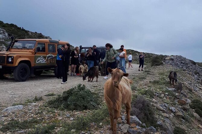 Adventure Safari Tour Secrets of the Southern Crete - Pickup and Drop-off Details