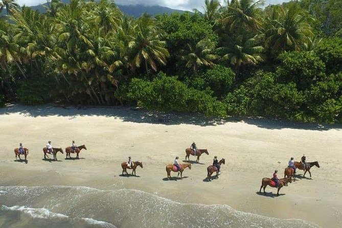 Afternoon Beach Horse Ride in Cape Tribulation - Pickup Information