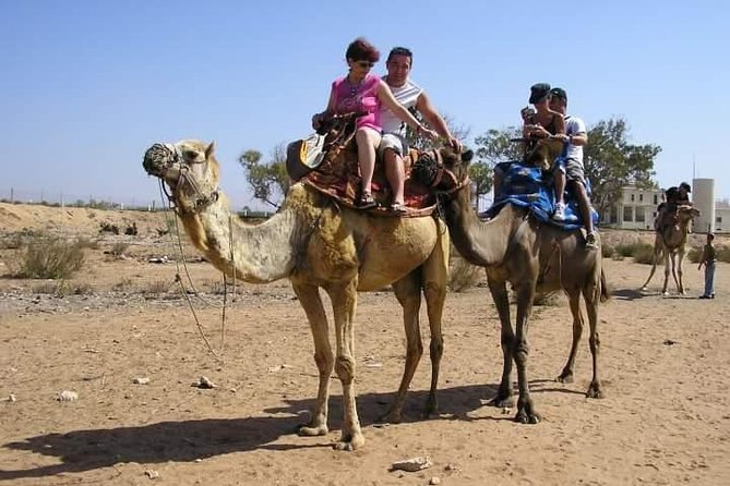 Agadir Camel Riding Sunset and Dinner( Barbecue) - Booking Information