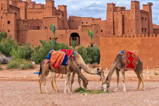 Ait Ben Haddou and Ouarzazate Day Trip - Booking Information