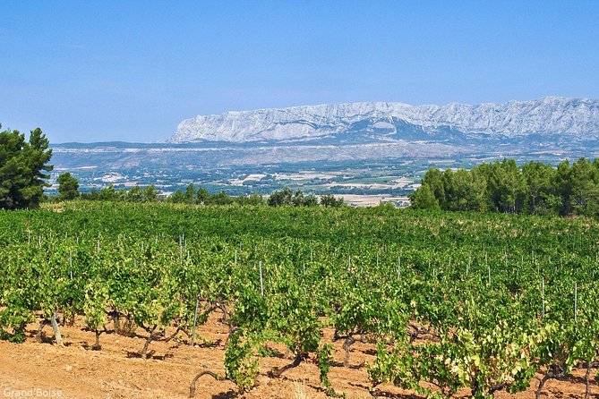 Aix-en-Provence Half-Day Wine Tour Including Tasting, Transfer (Mar ) - End Point and Cancellation Policy