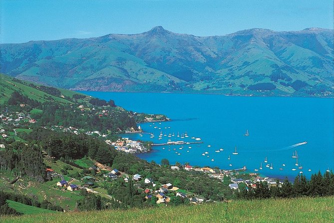 Akaroa Shore Excursion: Akaroa Harbour and Giants House Local Tour - Cancellation Policy