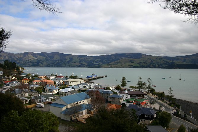 Akaroa Shore Excursion: Akaroa Harbour and Sheep Farm Local Tour - Reviews