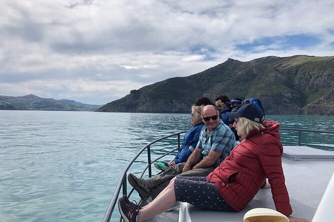 Akaroa Wildlife Cruise - Wildlife Encounters on the Cruise