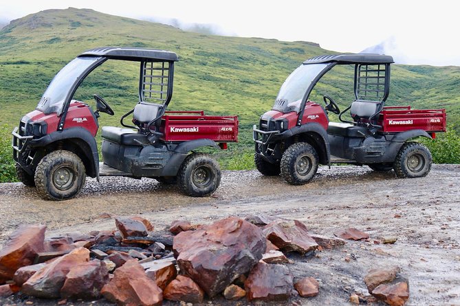 Alaskan Back Country Side by Side ATV Adventure With Meal - Expectations