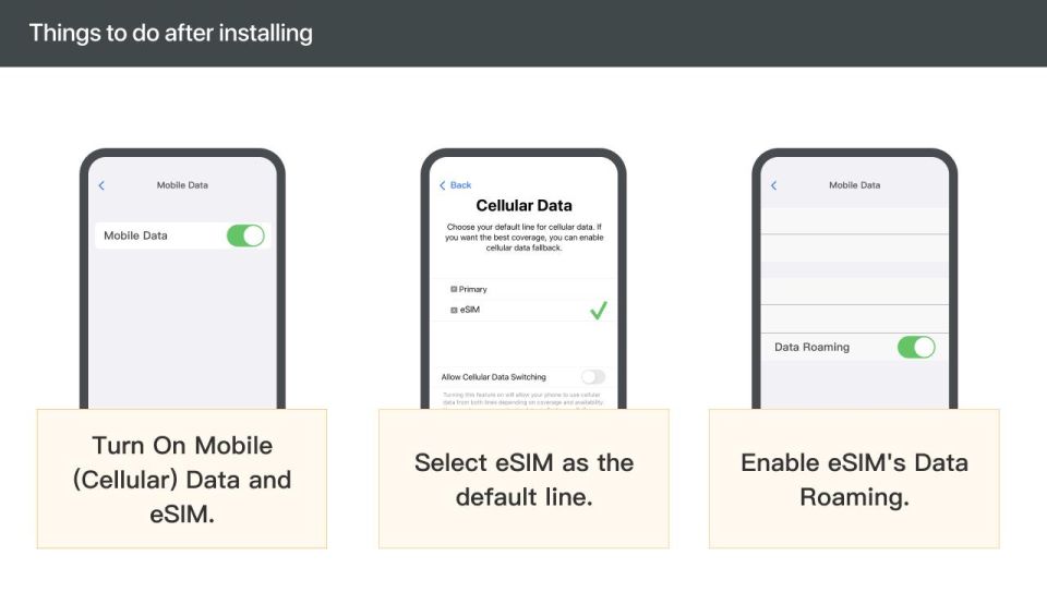 Albania/Europe: Esim Mobile Data Plan - Data Plan Options