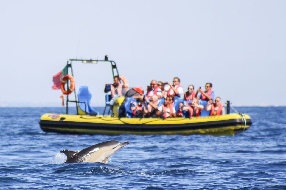 Albufeira: Benagil Caves & Dolphin Watching Speed Boat Tour - Experience Highlights