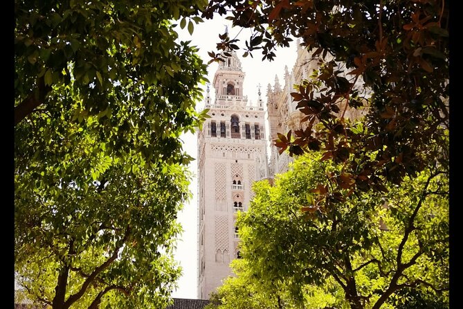 Alcazar and Cathedral of Seville Private Tour - Meeting and Pickup