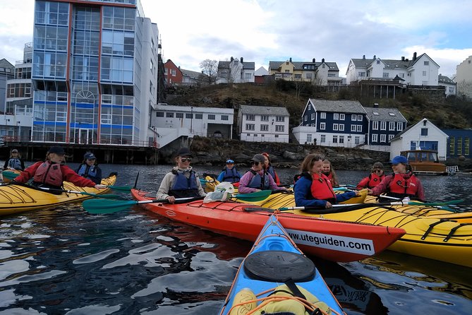 Ålesund Round Trip – A Great Kayak Adventure - Additional Information for Participants