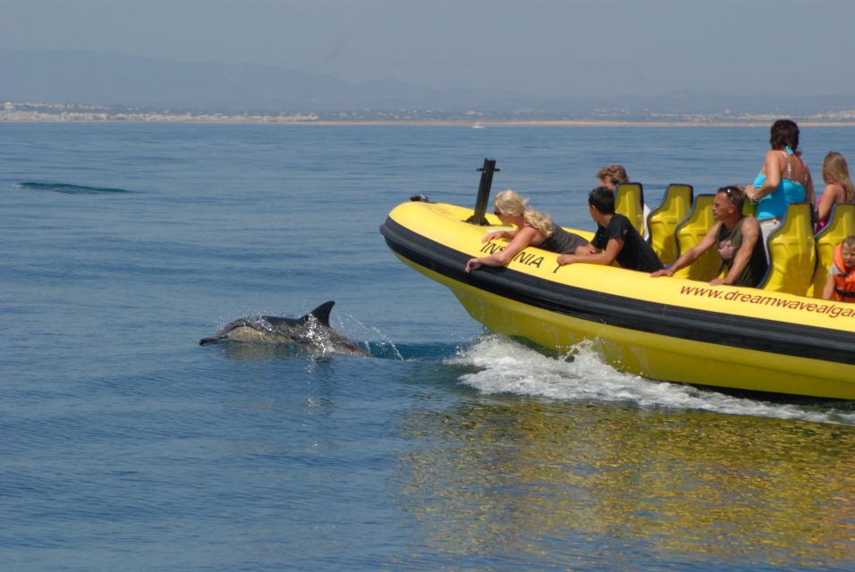 Algarve Coast: Dolphin Watching & Cave Tour - Activity Experience