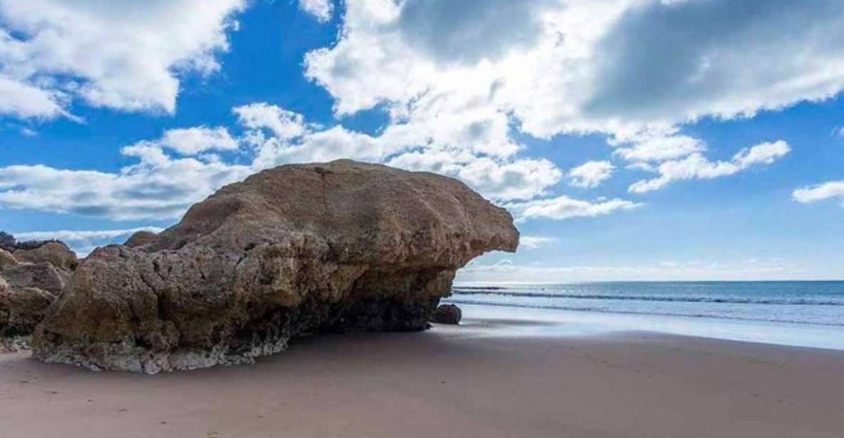 Algarve Coastline & Beaches Land Tour -Private Tour - Booking Information