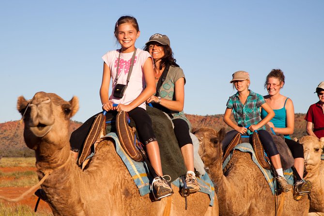 Alice Springs Camel Tour - Meeting and Pickup