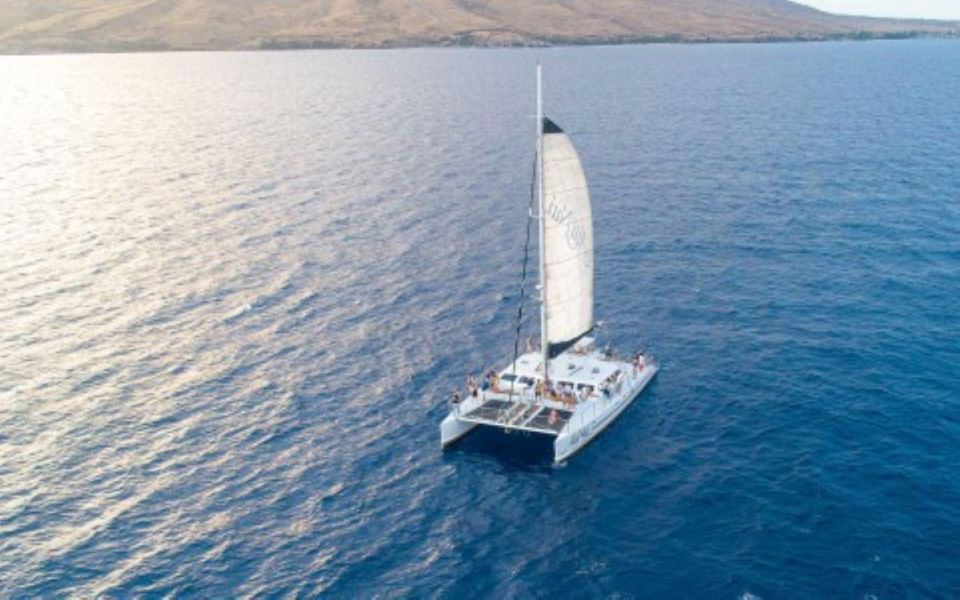 Alii Nui Maui Whale Watch Catamaran Sail - Experience Highlights
