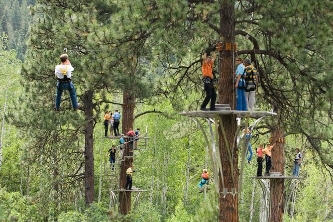 All-Day Guided Zipline Tour With Train Ride and Lunch in Durango - Guided Forest Exploration