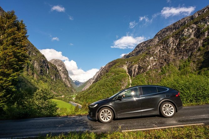 ALL Electric: Emission Free Tour to the World Heritage Fjords, 10.5 Hours - Questions