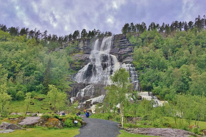 ALL Electric: Emission Free Tour to the World Heritage Fjords, 13 Hours - Group Size and Accommodations