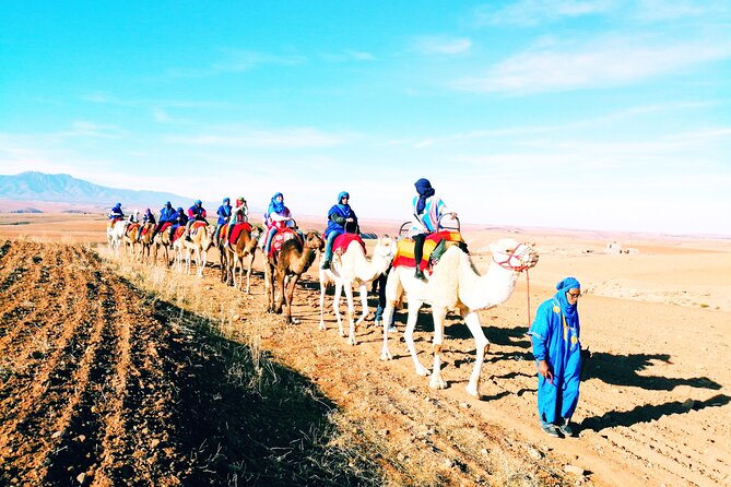 All-Inclusive Atlas Mountain 5 Valleys Day Trip & Camel Ride - Tour Highlights