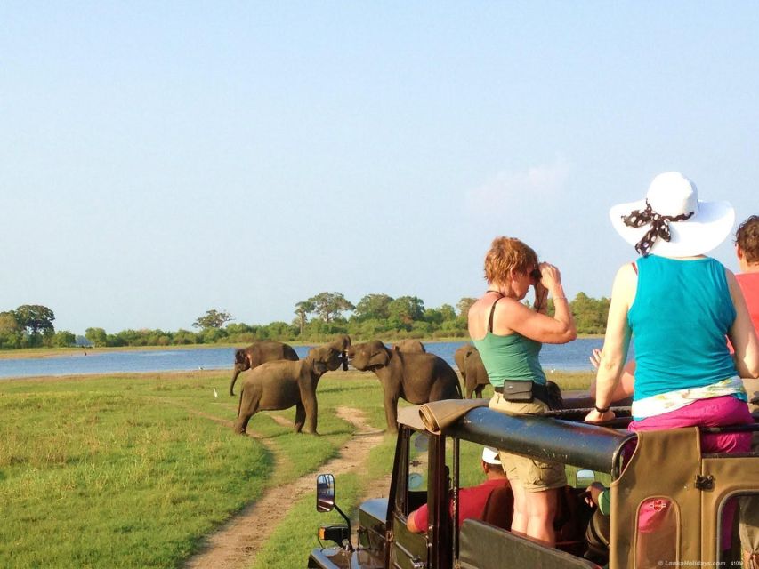 All-Inclusive Minneriya National Park Afternoon Safari - Experience Highlights at Minneriya National Park